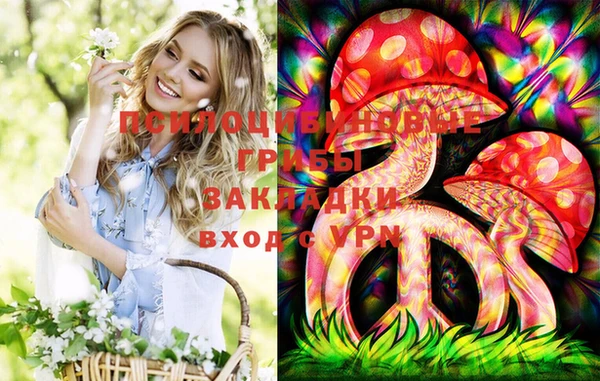 ПСИЛОЦИБИНОВЫЕ ГРИБЫ Абдулино