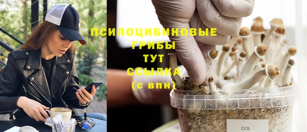 MDMA Алексеевка