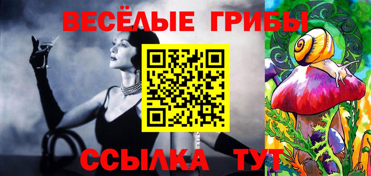 Галлюциногенные грибы GOLDEN TEACHER  Вход с VPN  Электрогорск 