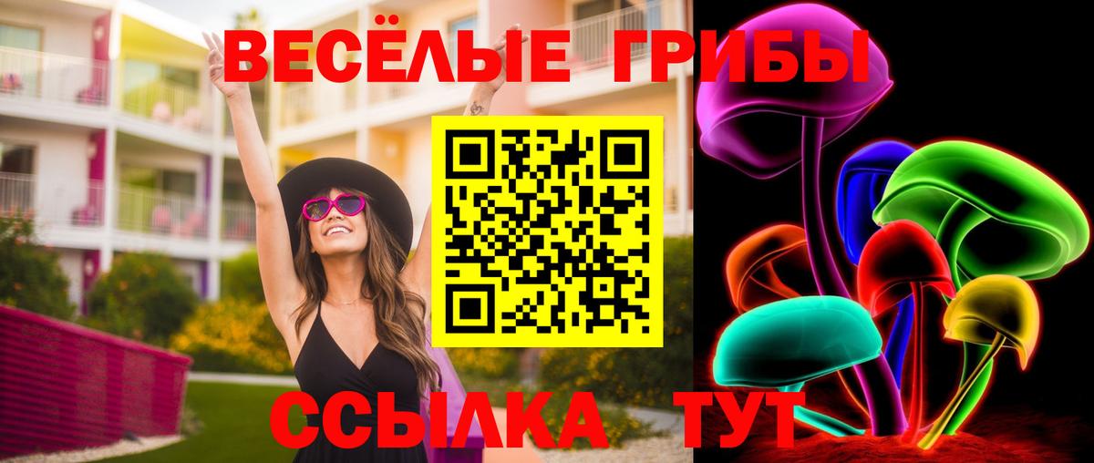 Псилоцибиновые грибы Magic Shrooms Электрогорск